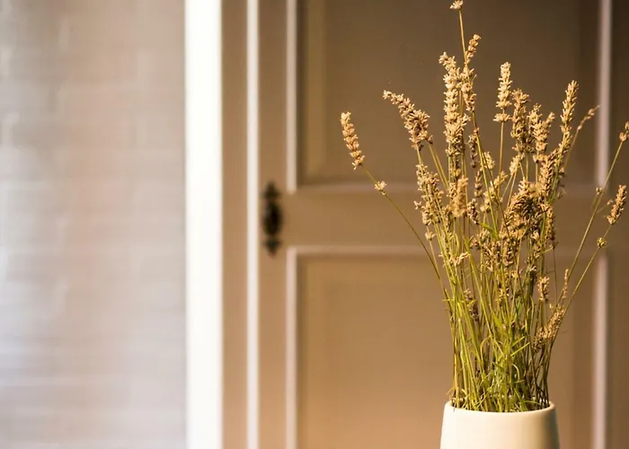 Cà Tugnin Dill Cich Appartement